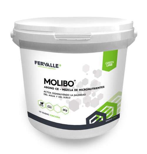 MOLIBO 5KG