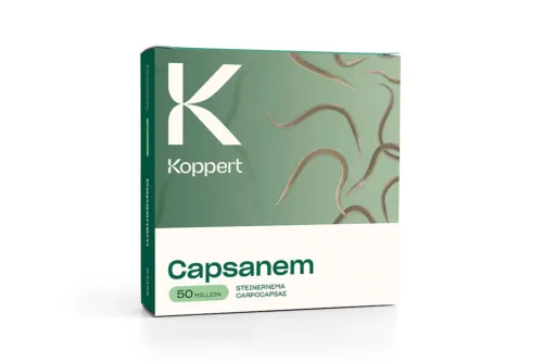 CAPSANEM 500CC