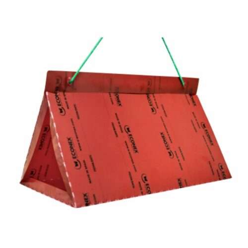 TRIANGULAR ROJA DESECHABLE
