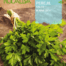 Semilla perejil | Romera soluciones naturales