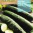 Semilla pepino ashley | Romera soluciones naturales