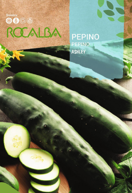 Semilla pepino ashley | Romera soluciones naturales