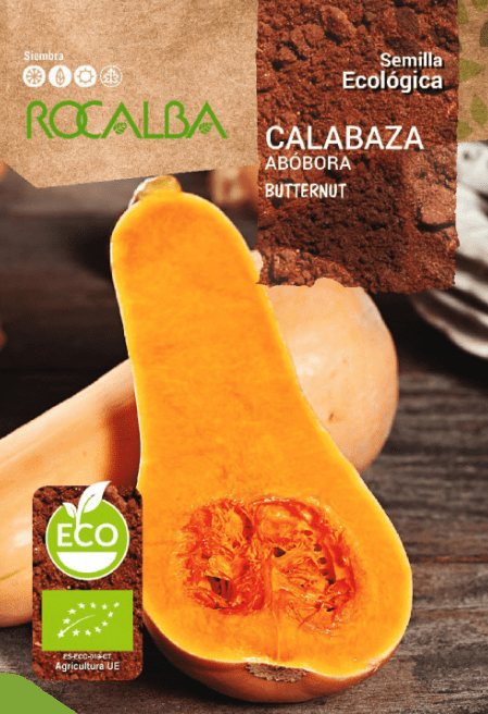 CALABAZA BUTTERNUT