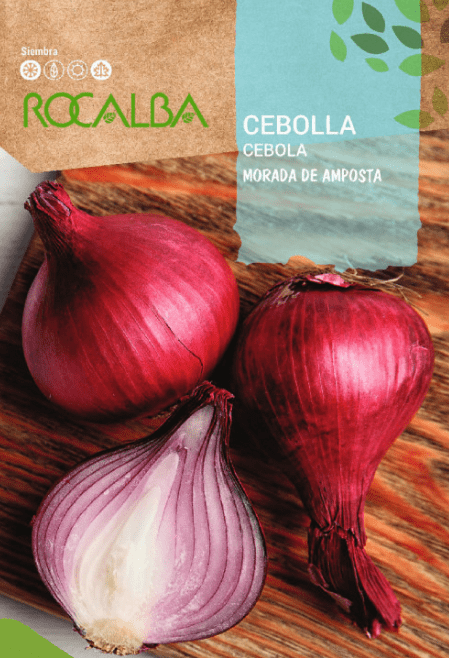 cebolla morada de amposta