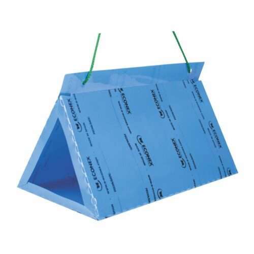 TRIANGULAR AZUL DESECHABLE