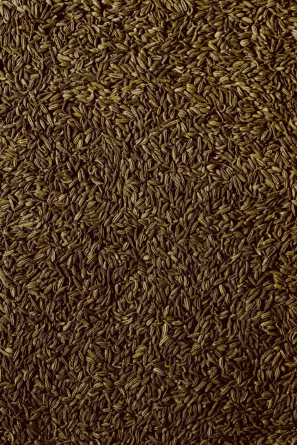Aceite esencial anis | Romera soluciones naturales.