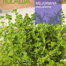 Semilla mejorana | Romera soluciones naturales