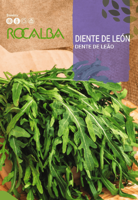 SEMILLA DIENTE DE LEON