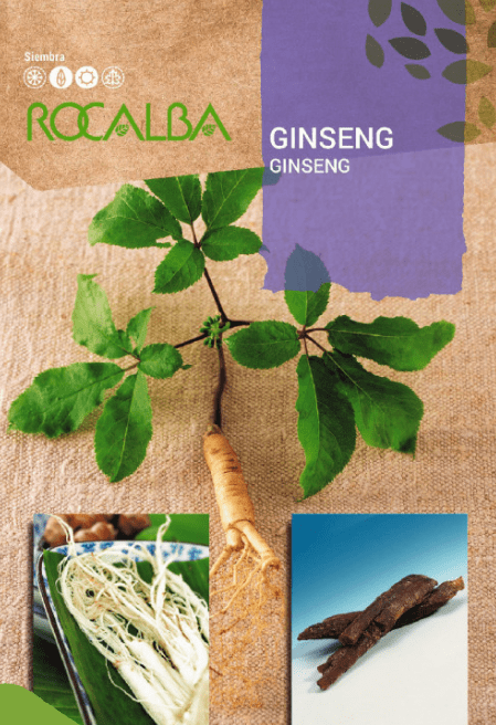 Semilla ginseng | Romera soluciones naturales