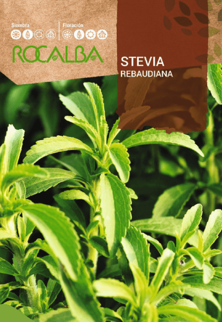 Semilla stevia | Romera soluciones naturales