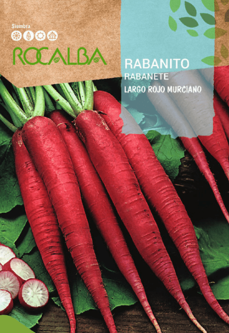 rabanito largo rojo