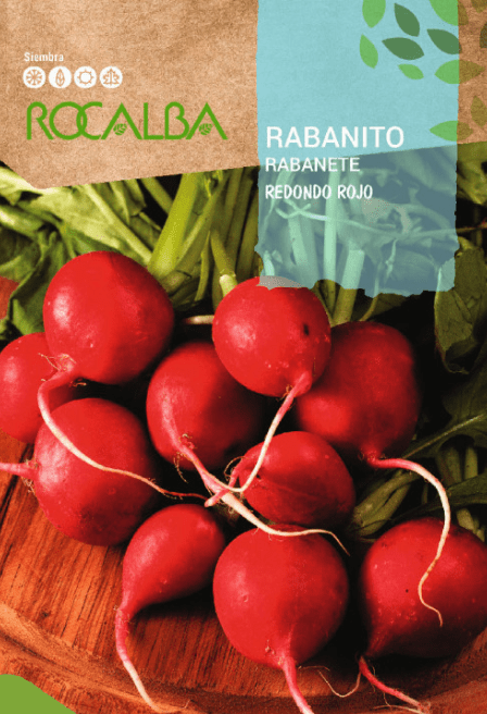 rabanito redondo rojo