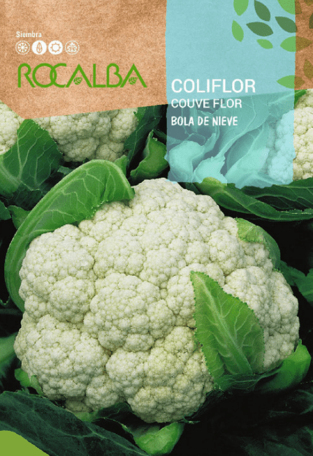Semilla coliflor bola de nieve