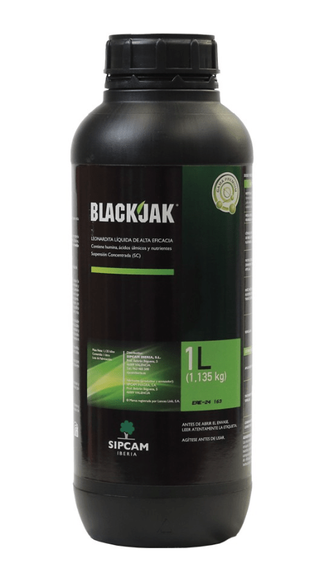 BLACKJACK ROMERA