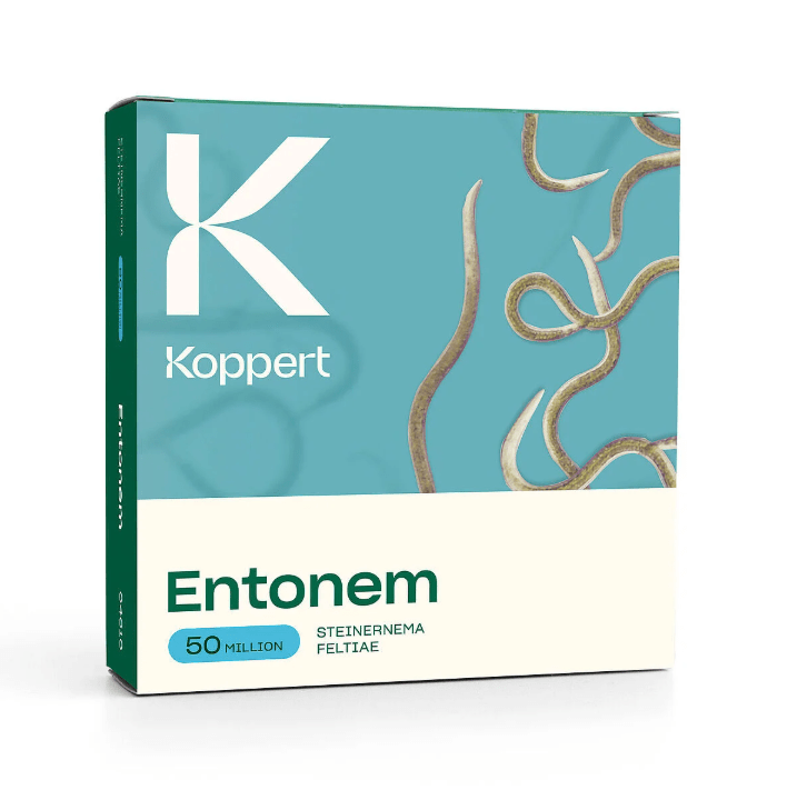ENTONEM NEMATODOS BENEFICIOSOS | ROMERA SOLUCIONES NATURALES