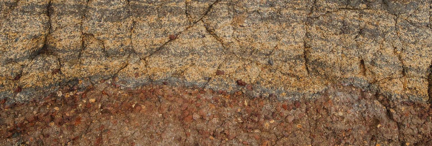 n agricultura ecológica se emplean materias primas procedentes de diferentes orígenes para mejorar la fertilidad del suelo, aportar nutrientes, corregir carencias y proteger los cultivos. Romera Suministros Naturales