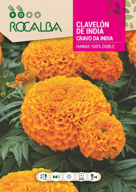SEMILLA CLAVELON DE LA INDIA | ROMERA SOLUCIONES NATURALES