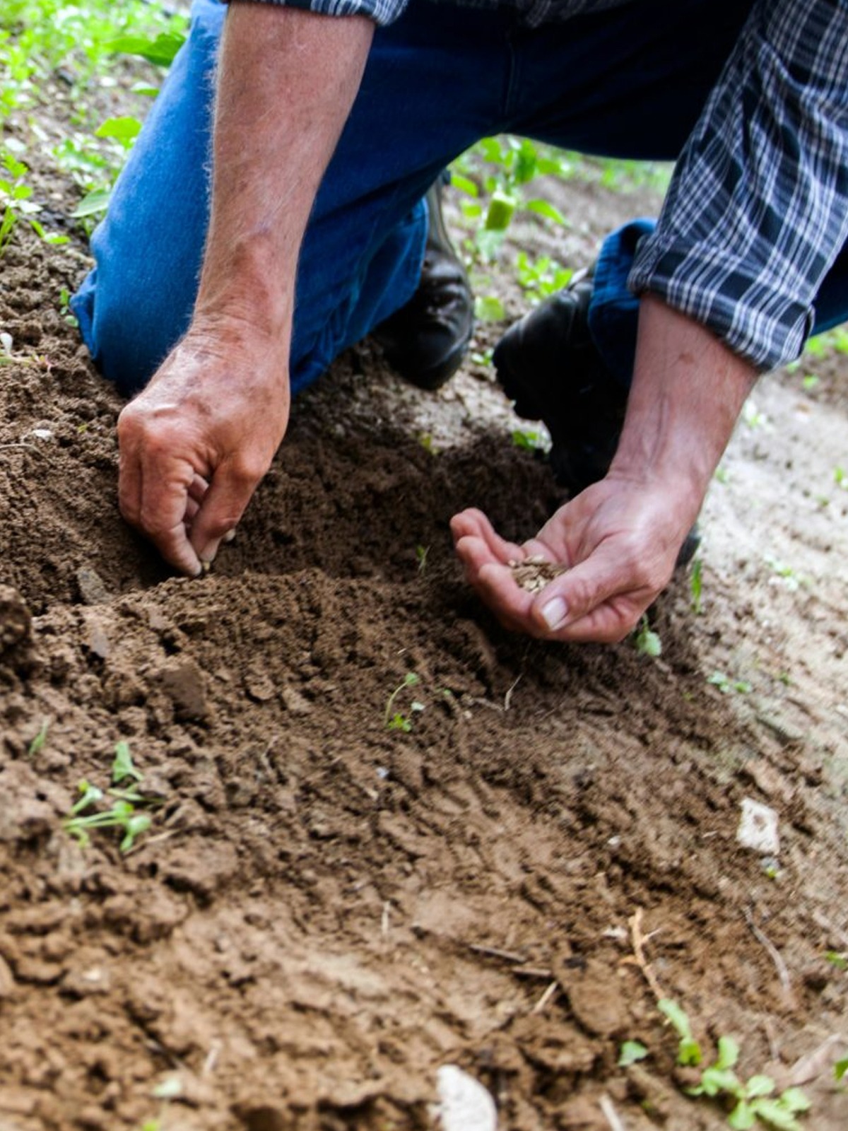 Nuestros productos para agricultura ecológica son de primera calidad. Romera Suministros Industriales.